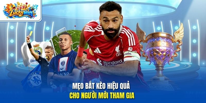 Mẹo bắt kèo hiệu quả cho người mới tham gia